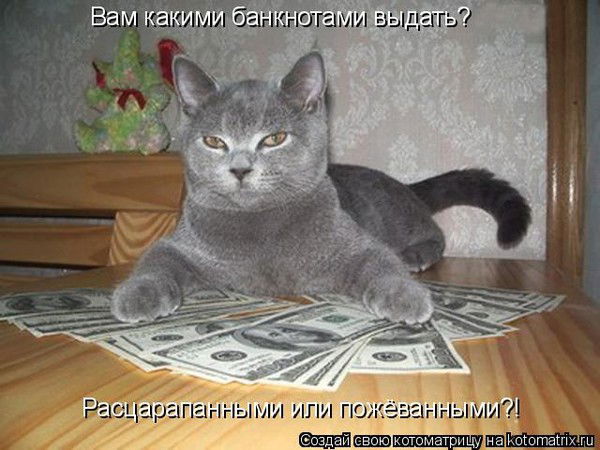 Полухин Александр