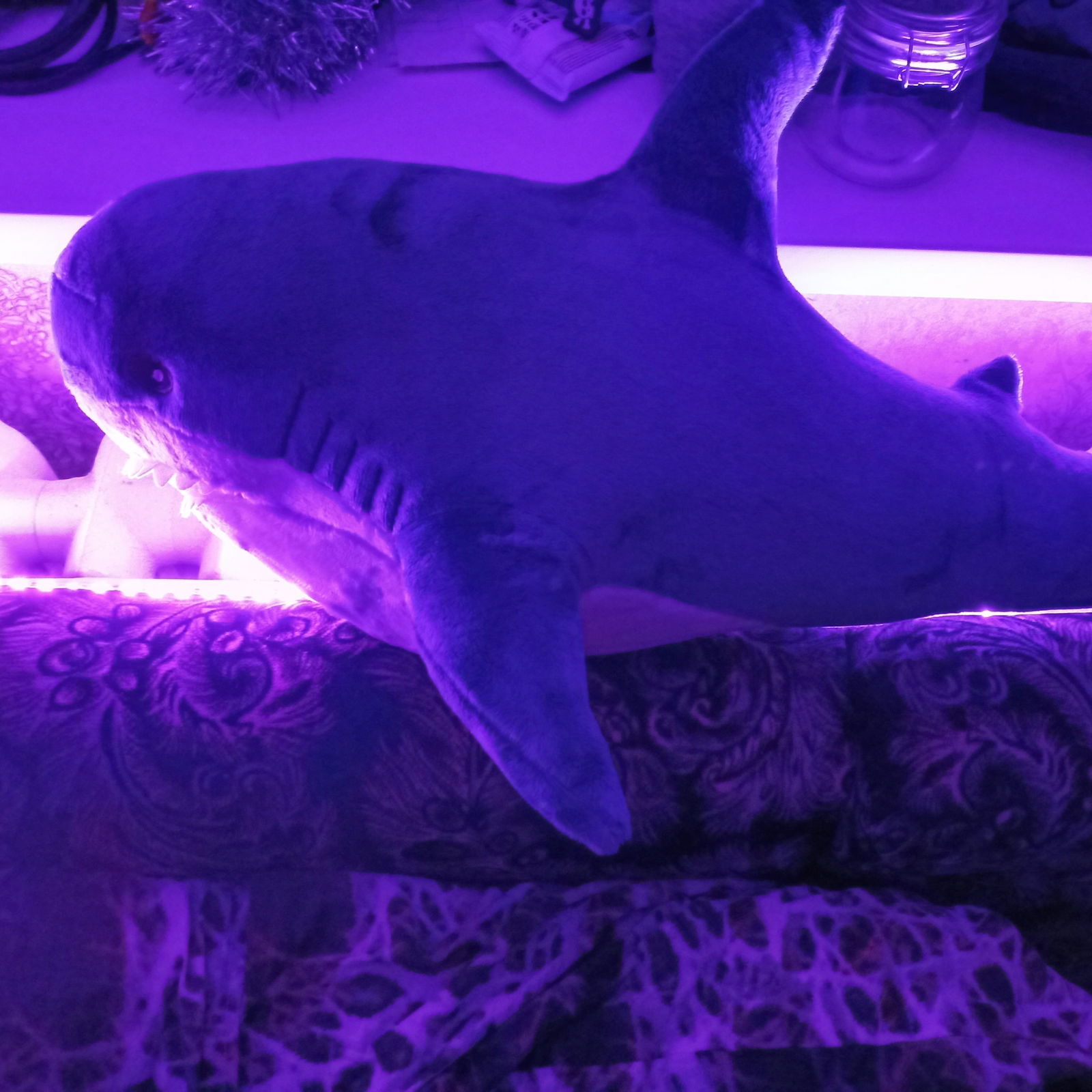 Алёна Филиппова