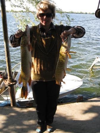 Алла Рыбалко