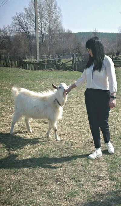 Ирина Новикова