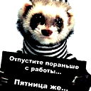 Юра Болгов