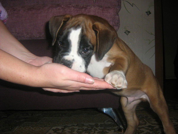 Татьяна Долгих