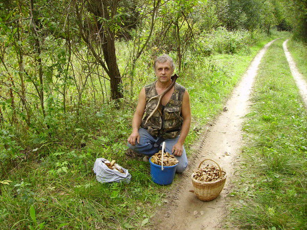 Михаил Кожанов