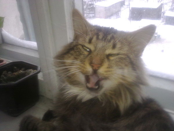 Руслан Тюрин