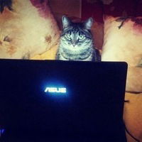 Михаил Тарбеев