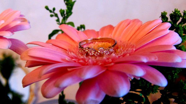 Олеся Митрофанова