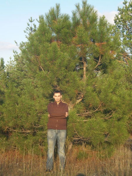 Николай Мужик