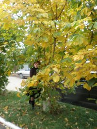 Татьяна Демидова