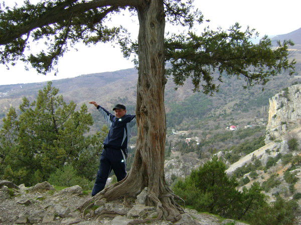 Андрей Рогожкин