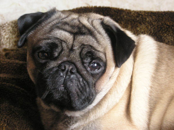 Наталья Артюхина