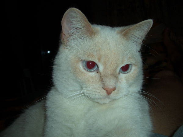 Евгений Егоров