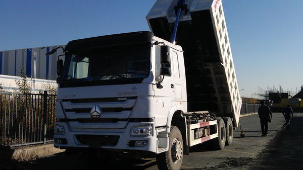 Asia Motors Co. Ltd *