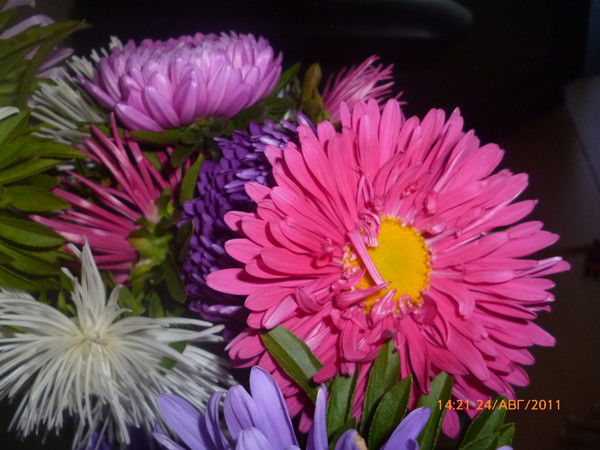 Ксения Титова