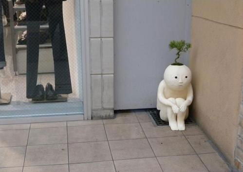 Анастасия Акасуна