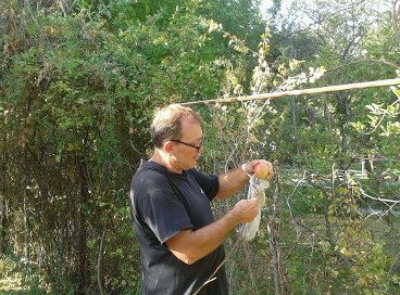 Георгий Комаров