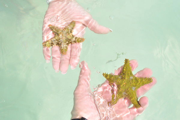 Ольга Ткешелиадзе