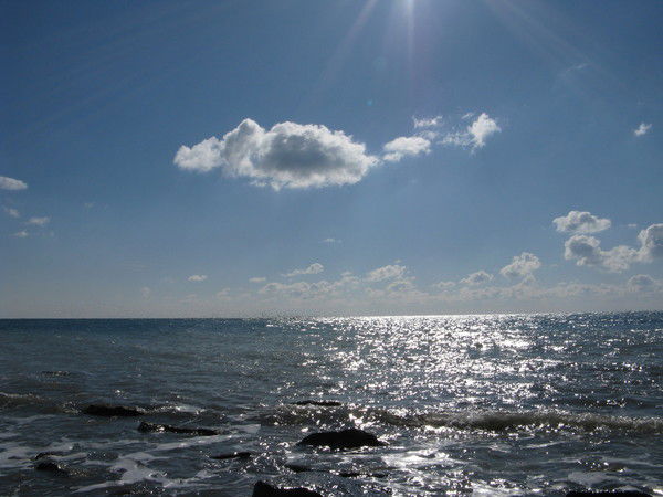 Людмила Рядинская