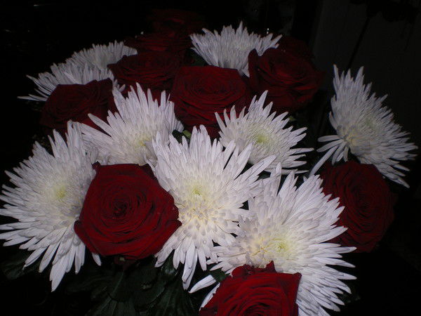 Helena Kunz /ушакова/