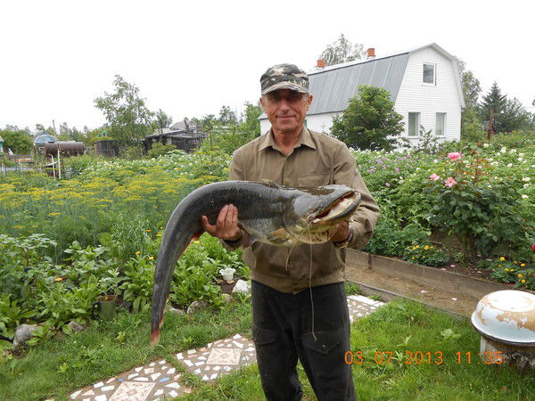 Михаил Финкель