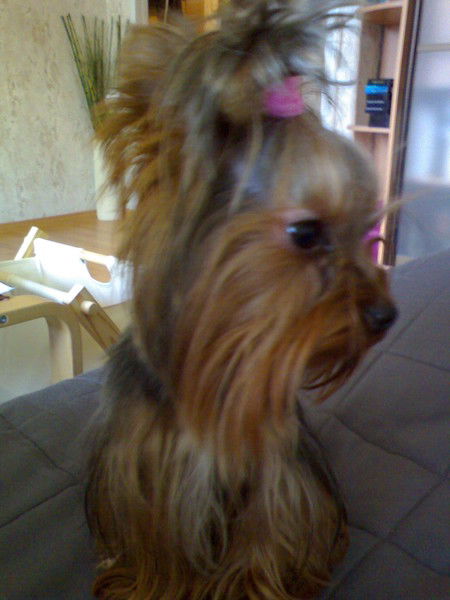 Ирина Середа