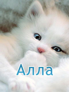 Алла Шишова