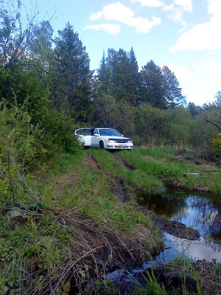 Andrei Aleksandrovich