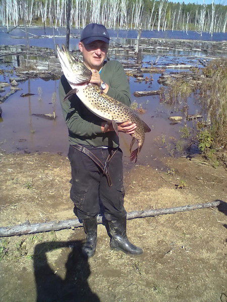 Роман Винник