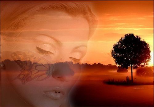 Любовь Шелехова