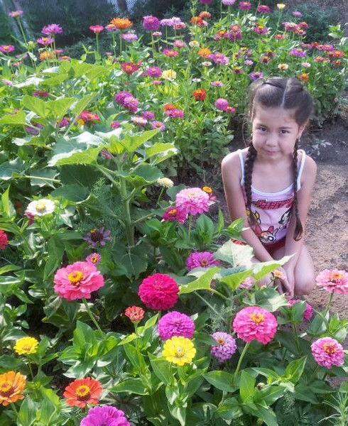 Дильназ Халыбай