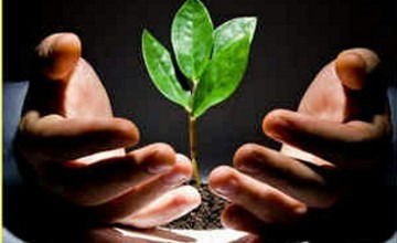 Еркебулан Сентаев