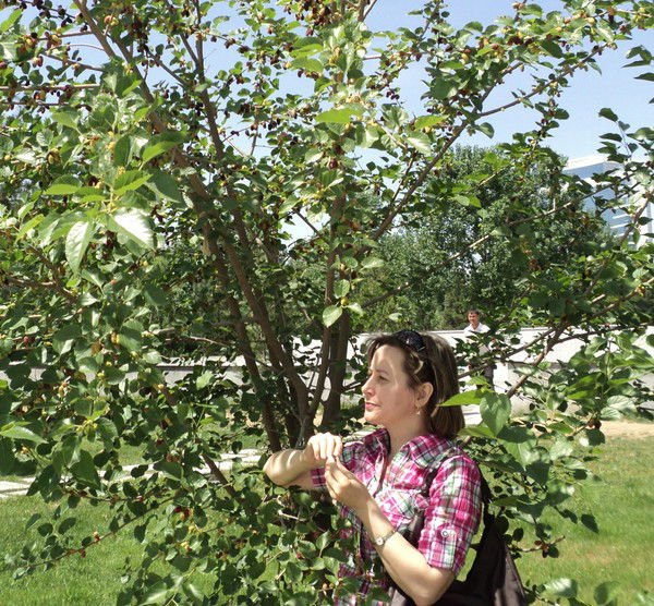 Лариса Васильева