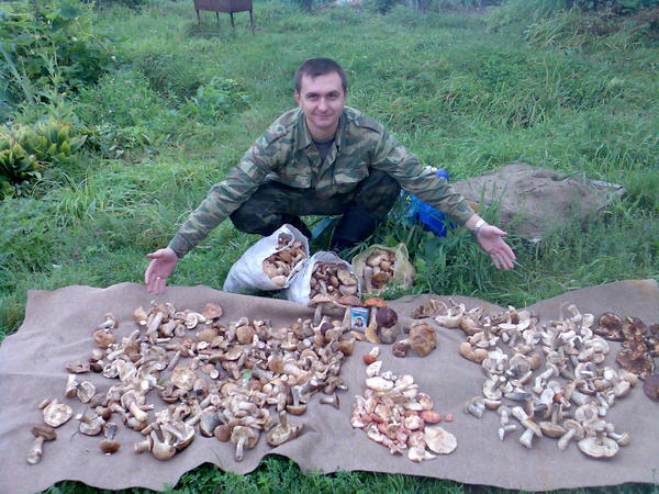 Дмитрий Макаров