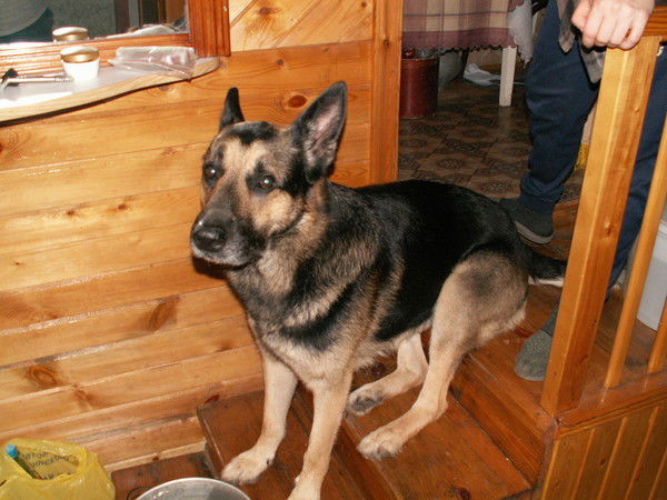 Сергей Клайд