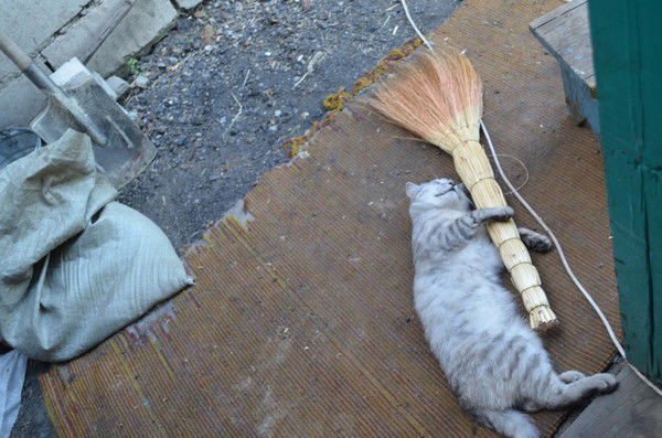 Васян Первых