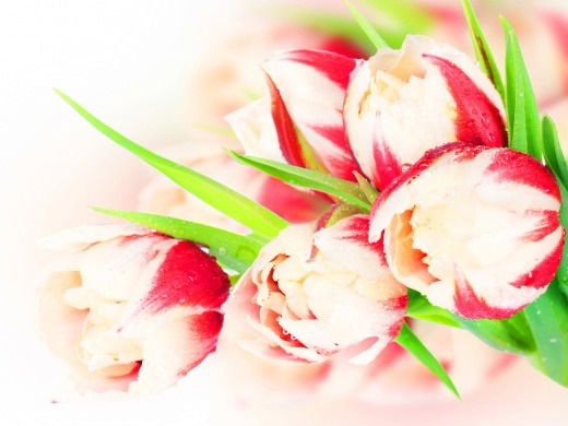 Смагулова Бахытгуль