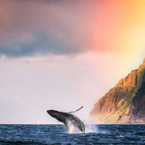 Владислав Капотов