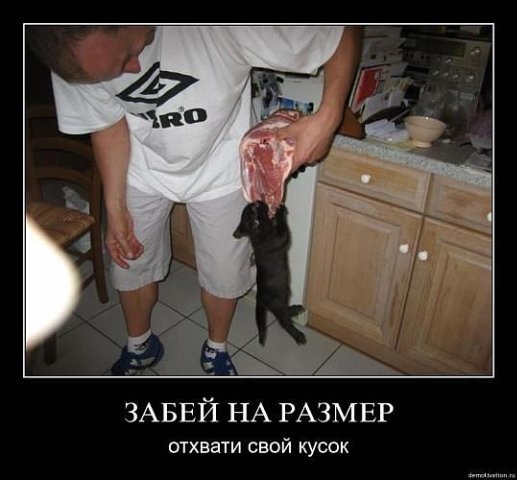 Андрей Анакин