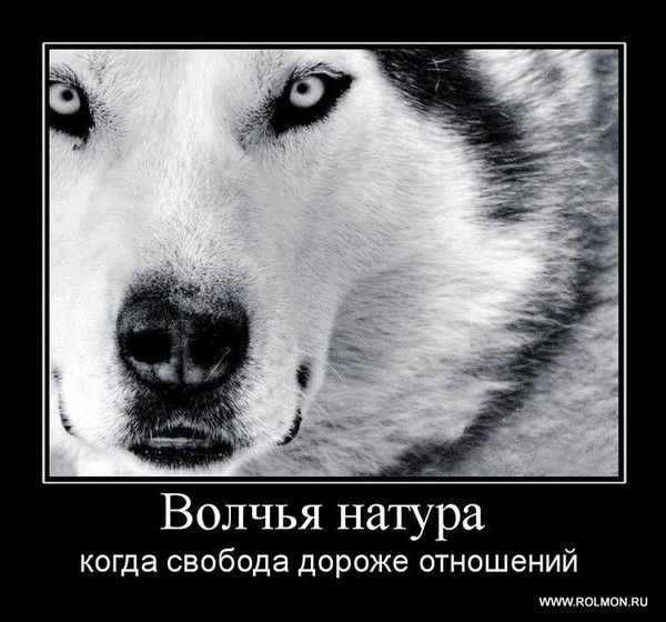 Светлана Шнайдмиллер