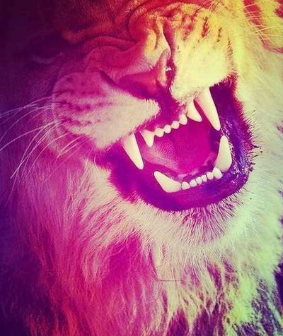 Абдула Гасанов