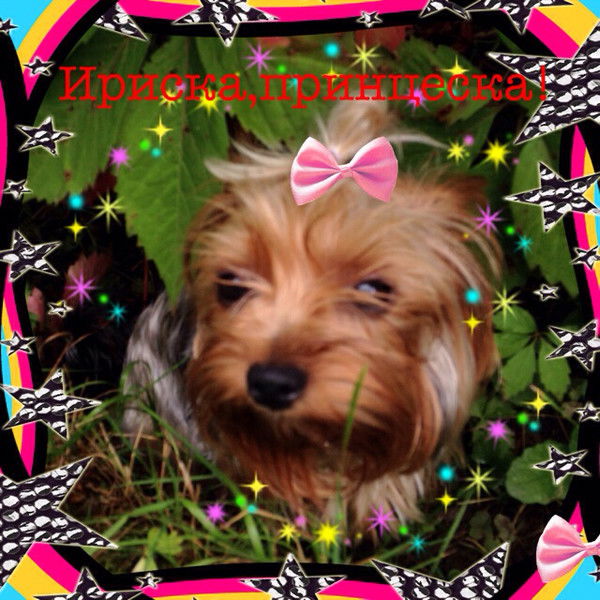 Олик Демкина