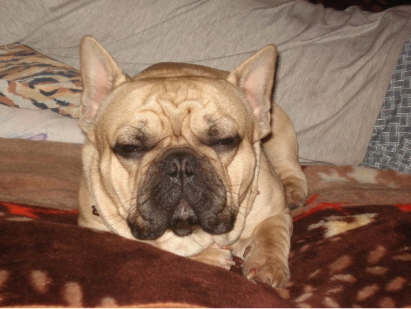 Татьяна Бучнева