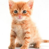 Дана Озерова