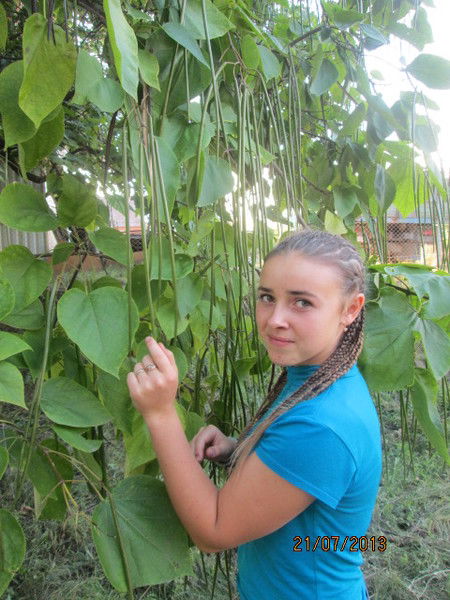 Вика Андриенко