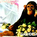 Сергей Сахаров