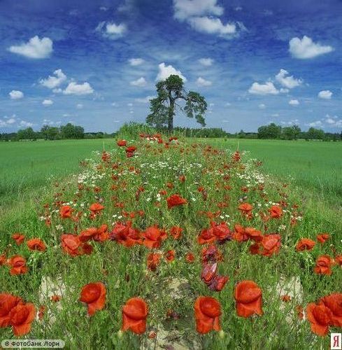 Тетяна Замкова