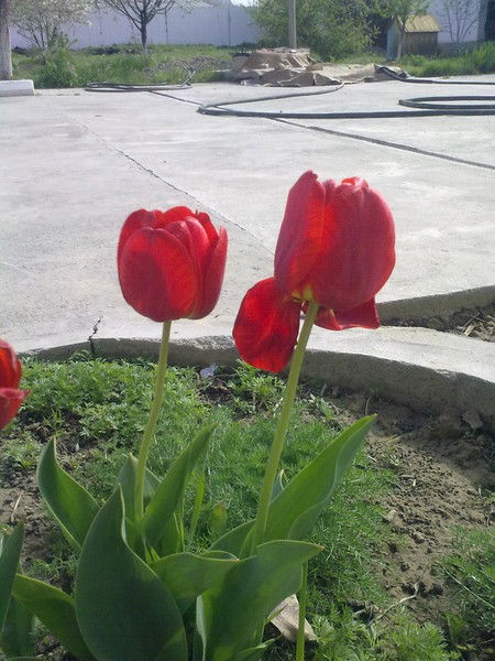 Раушан Кенжебекова