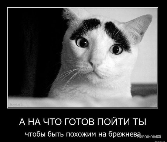 Брежнев Леонид