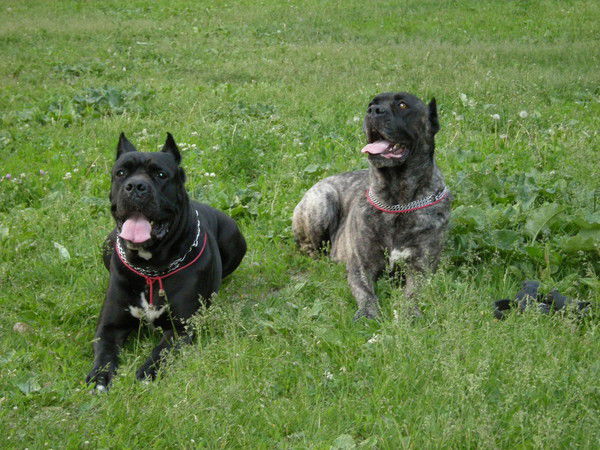 Лариса Комиссарова