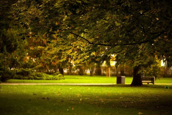 Анна Шиндина Zf