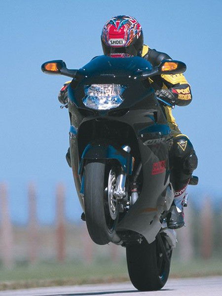 Александр Цвигун